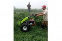 Grillo GF3 working amidst the clouds in Tapezco (Costa Rica) at 2000m above sea level in the Cordillera Central.